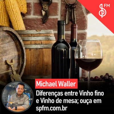 Michael Waller | Diferenças entre Vinho fino e Vinho de mesa! episode artwork