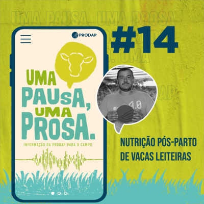 ProdapCast
