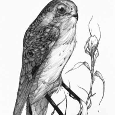 The RebChat: Conversations about the creative process for art and for business.