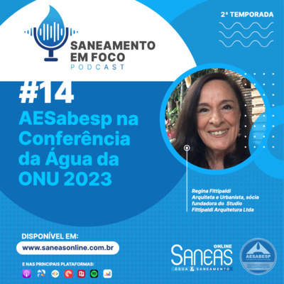 #14: AESabesp na Conferência da Água da ONU 2023