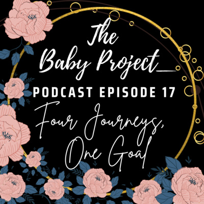 [Infertility] E17: Four Journeys, One Goal