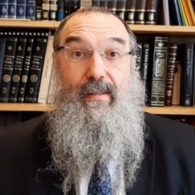 Dvar Malchus: Rabbi Nissan Dovid Dubov, Classic Shiur, Sicha 3 - Part 2