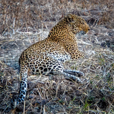 ETB Travel Photography Blog