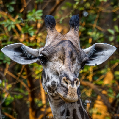 ETB Travel Photography Blog