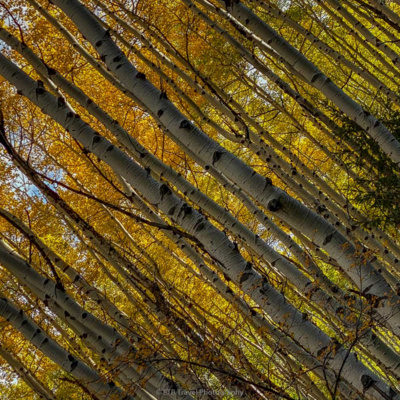 ETB Travel Photography Blog