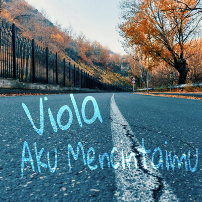 Budi Vio