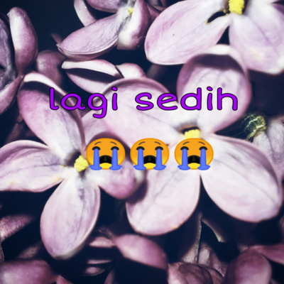 Budi Vio