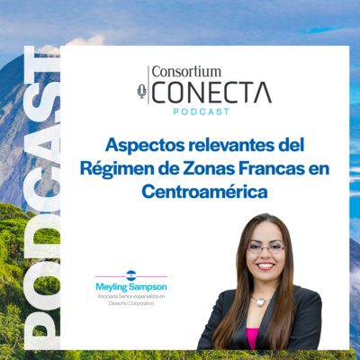 Portada de Consortium Legal
