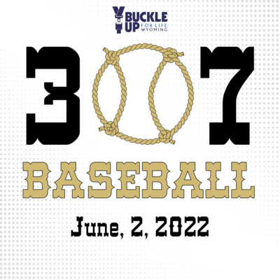 307 Baseball