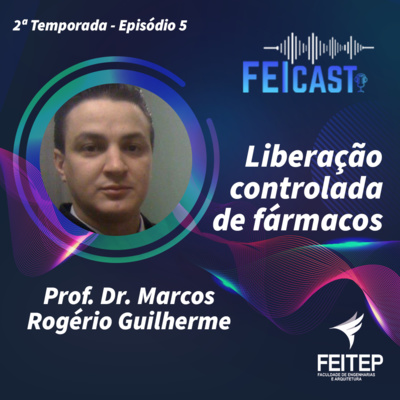 FEICAST