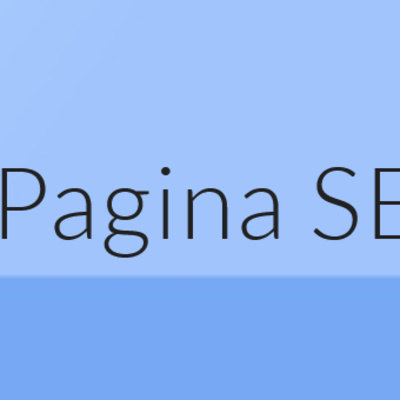 Startpagina pagina seo