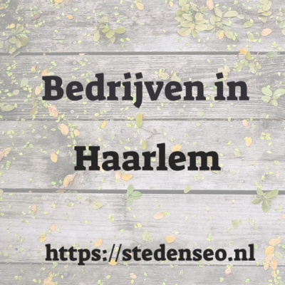 Haarlem SEO