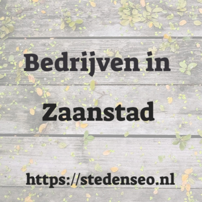 Zaanstad SEO