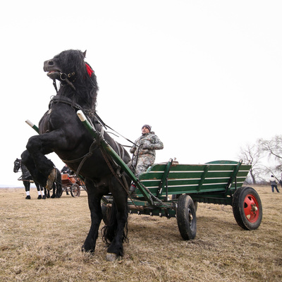 Putting the cart before the horse