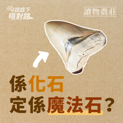 牛哥講經丨廣東話哲學、書籍分享