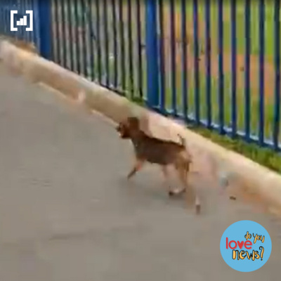 Do You Love Rasqueado?