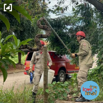 Do You Love Rasqueado?