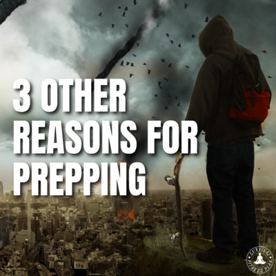 3 OTHER Reasons for Prepping