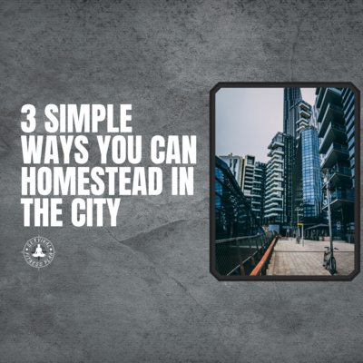 3 Simple Ways You Can Homestead in the City