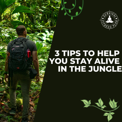 3 Tips to Help You Stay Alive in the Jungle