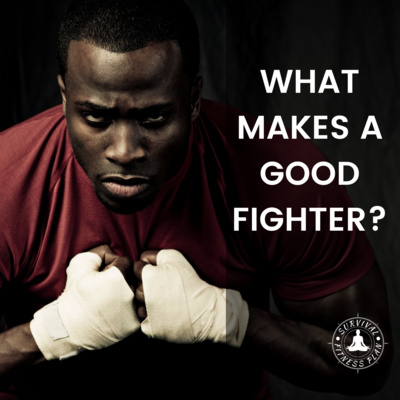 What Makes a Good Fighter?
