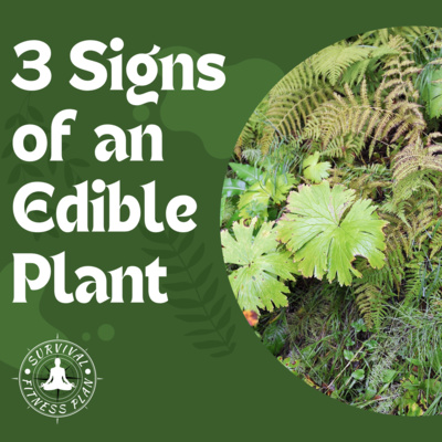 3 Signs of an Edible Plant