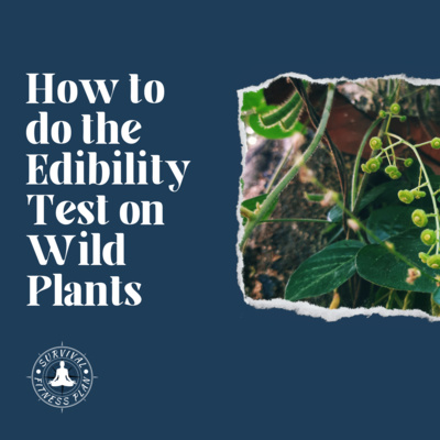 How to do the Edibility Test on Wild Plants