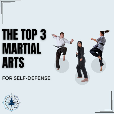 The Top 3 Martial Arts for Self-Defense