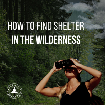 How to Find Shelter in the Wilderness