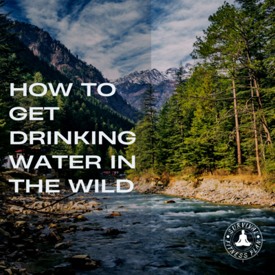 How to Get Drinking Water in the Wild