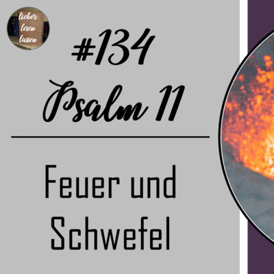 lieber lesen lassen