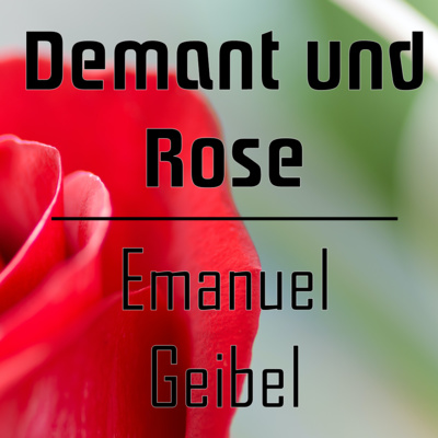 lieber lesen lassen