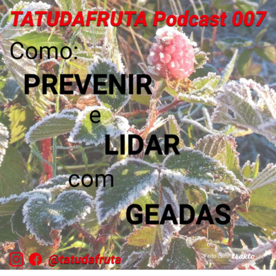 TATUDAFRUTA PODCAST