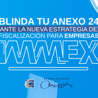 ¿Por qué y para qué sirve un software de Anexo 24?