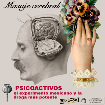 Masaje cerebral