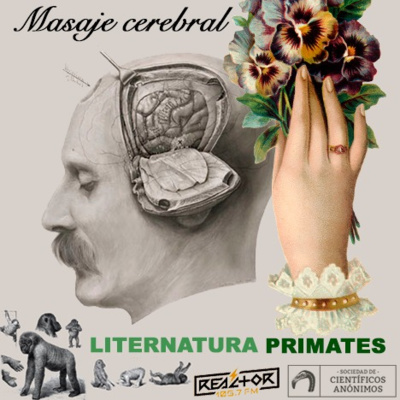 Masaje cerebral