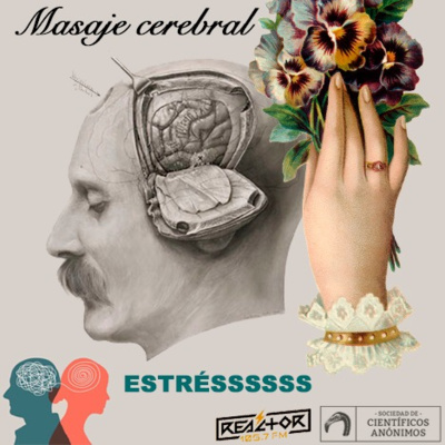 Masaje cerebral