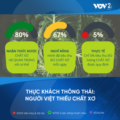 VOV2 - Thực khách thông thái: Người Việt thiếu chất xơ  episode artwork