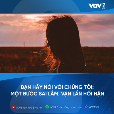 VOV2: bạn hãy nói với chúng tôi: Một bước sai lầm, vạn lần hối hận episode artwork