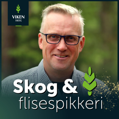 Ep2: Hvem gjør hva i skogen – produksjonssjefen har svaret!