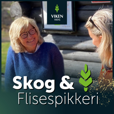 Ep6: Hva vet folk flest om skogsdrift og tre som naturressurs? Vi skal på tur ut i skogen!