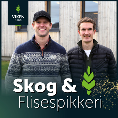 Skog & Flisespikkeri