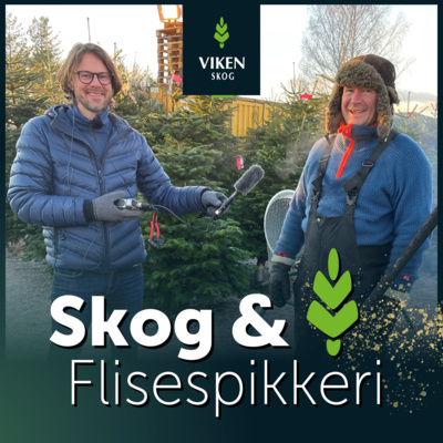 Ep8: Hvor bærekraftig er egentlig juletrær? Kanskje like greit med plast? Vi gir deg tips og triks!