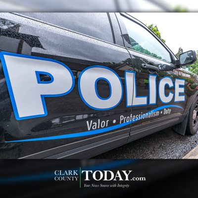 Large Back The Blue stripe -thin blue line police #backtheblue car decal Large Back The Blue stripe -thin blue line police #backtheblue car decal