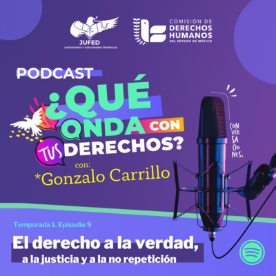 Deberes de prevenir, investigar, sancionar y reparar violaciones a derechos humanos- JUFED episode artwork