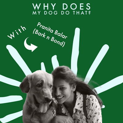 Friday Talks with Pranita Balar - why does my dog do that?