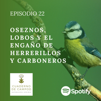 Oseznos, Lobos y el engaño de Herrerillos y Carboneros #22 episode artwork