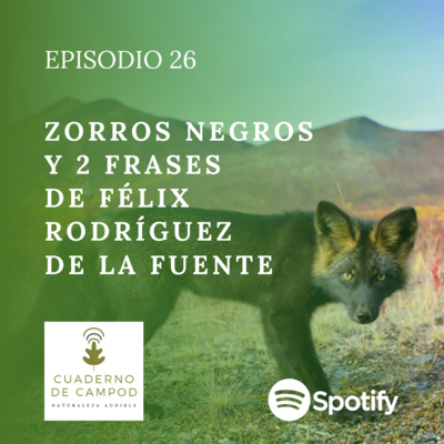 Zorros Negros y 2 Frases Célebres de Félix Rodríguez de la Fuente #26 episode artwork