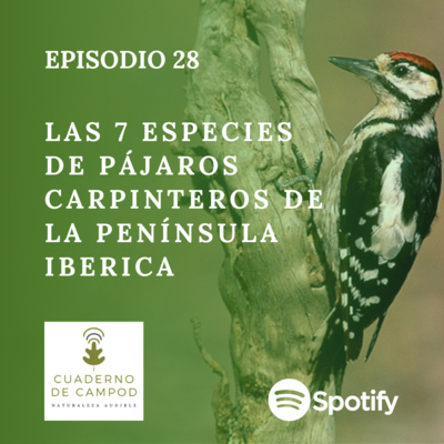 Notas de Naturaleza