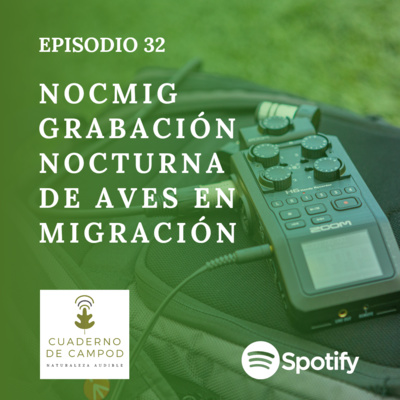 Nocmig, grabación nocturna de aves en migración. #32 